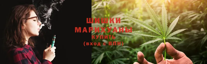 где купить   Данков  Бошки марихуана Ganja 